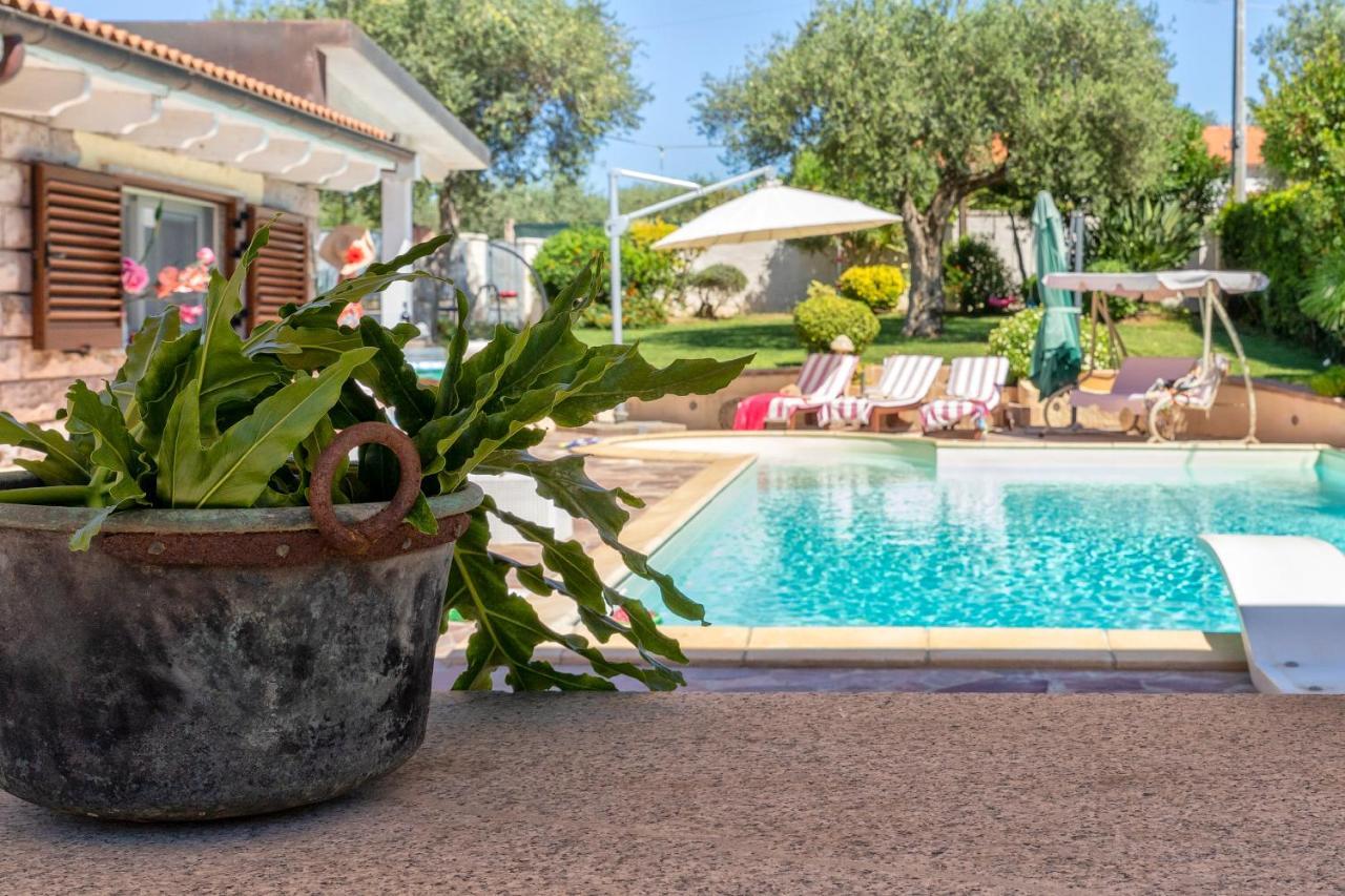 Sunflower Villa